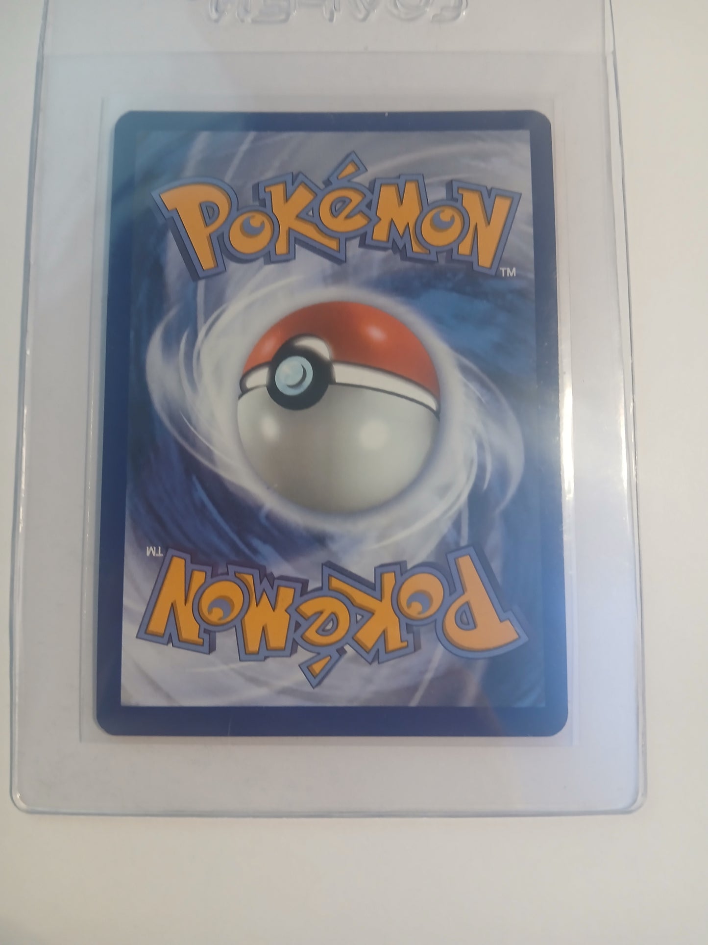 Wailord - English - NM