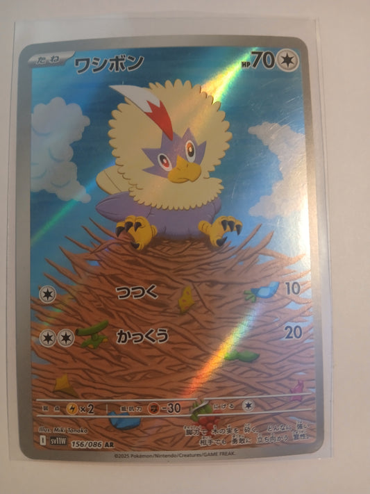 Rufflet - Japanese - NM